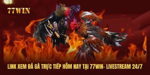 Link Xem Đá Gà Trực Tiếp Hôm Nay Tại 77win